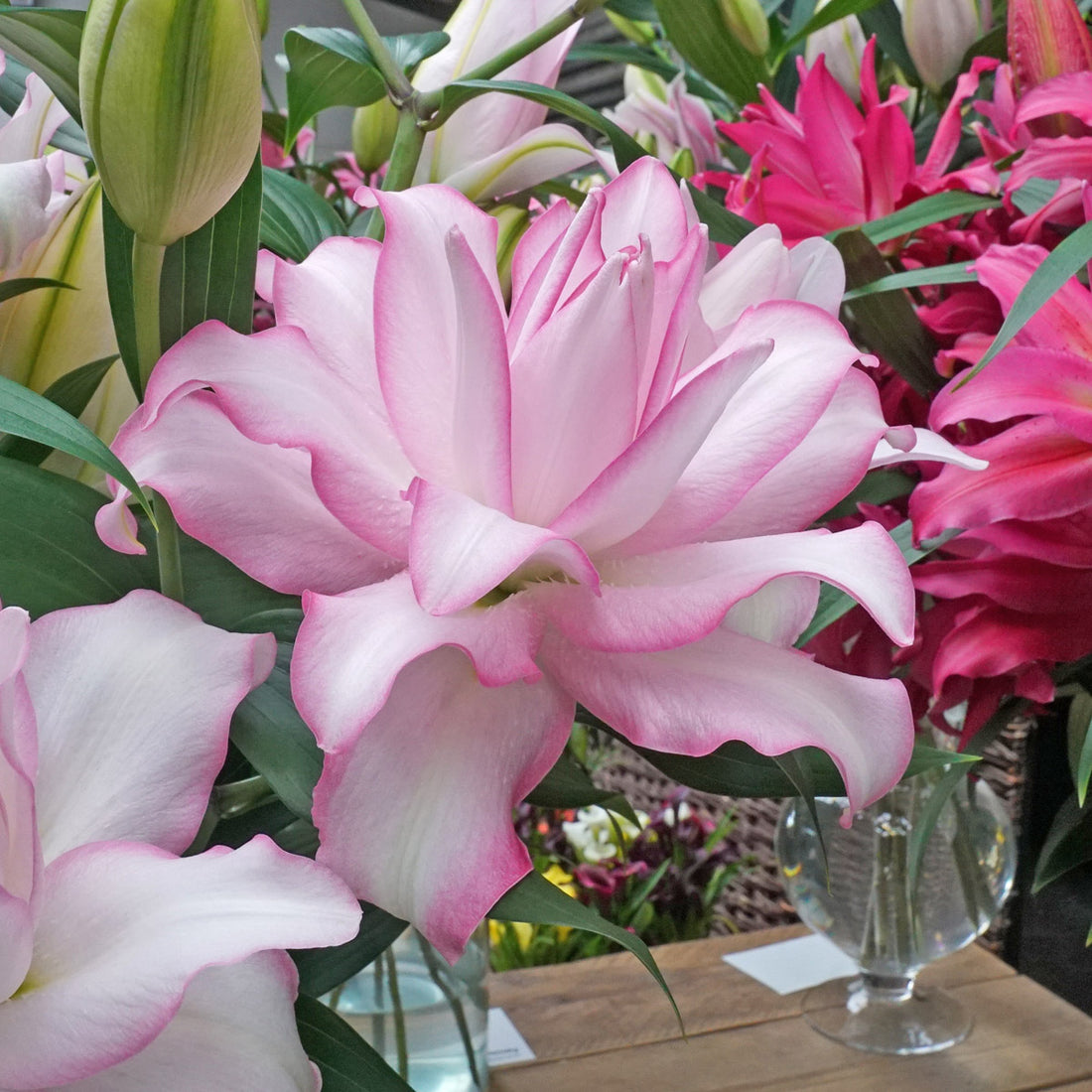 The Lilies are back online!