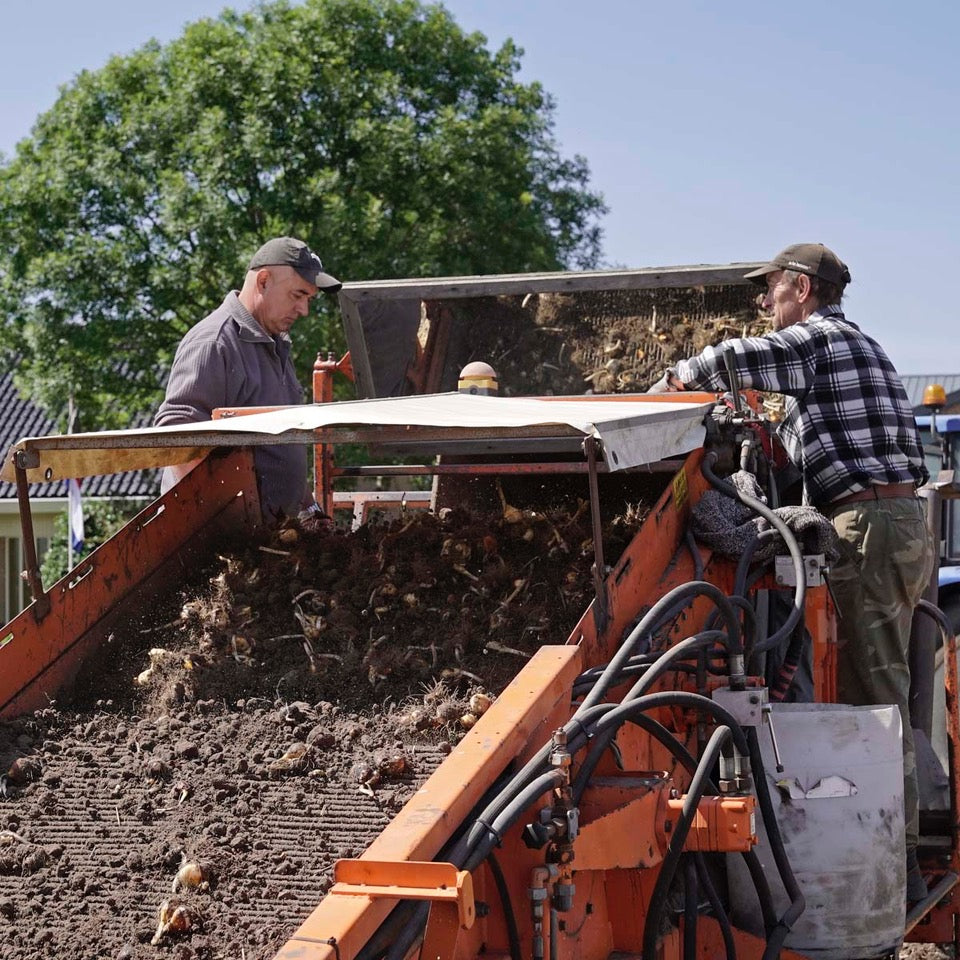 Harvesting has started