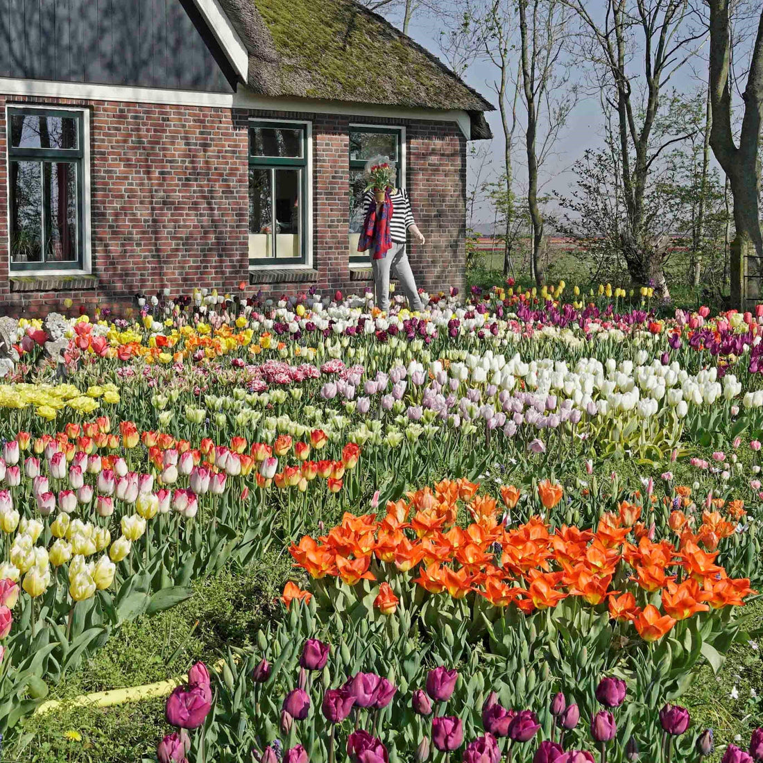 What To Plant In The Garden Next Autumn?