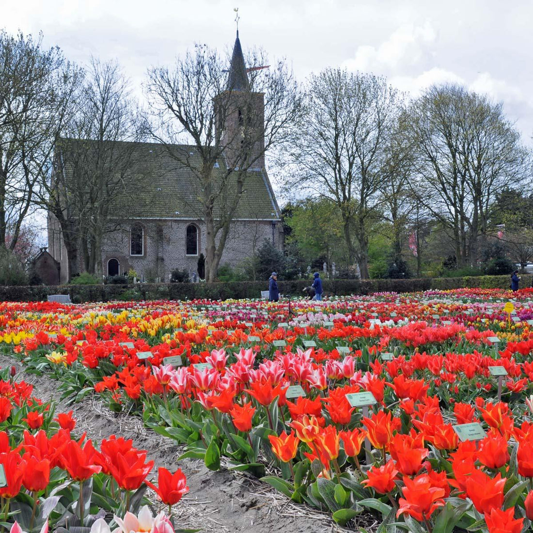 Too young for the rest home