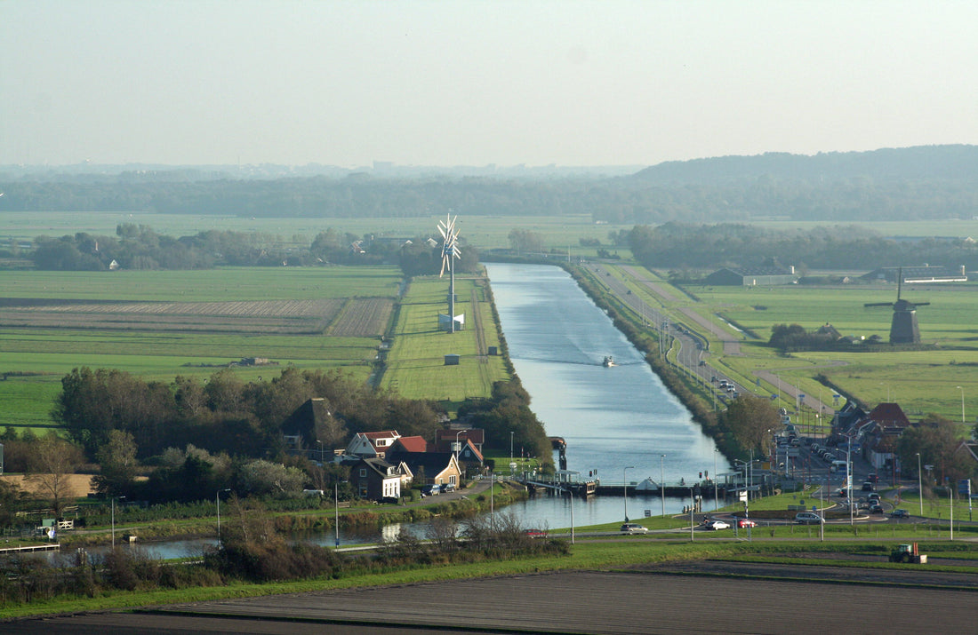 Rectification: World Daffodil Tour Programme