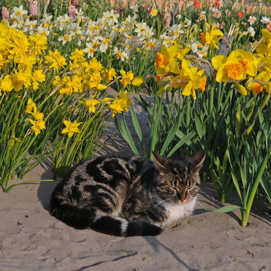 Let Me Teach You A Lesson