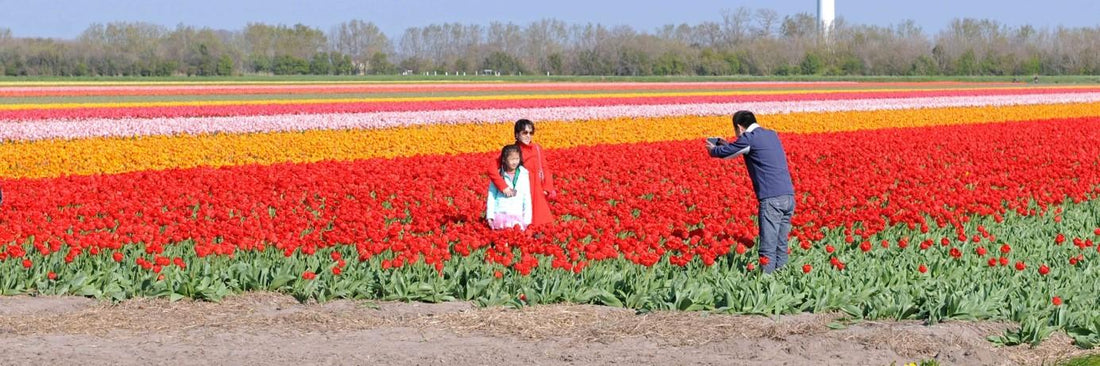 What Is My Definition of Beautiful?