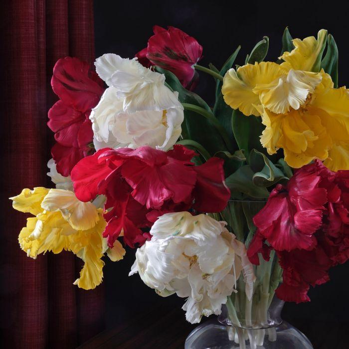 “Things never happen the way you expect them to happen”