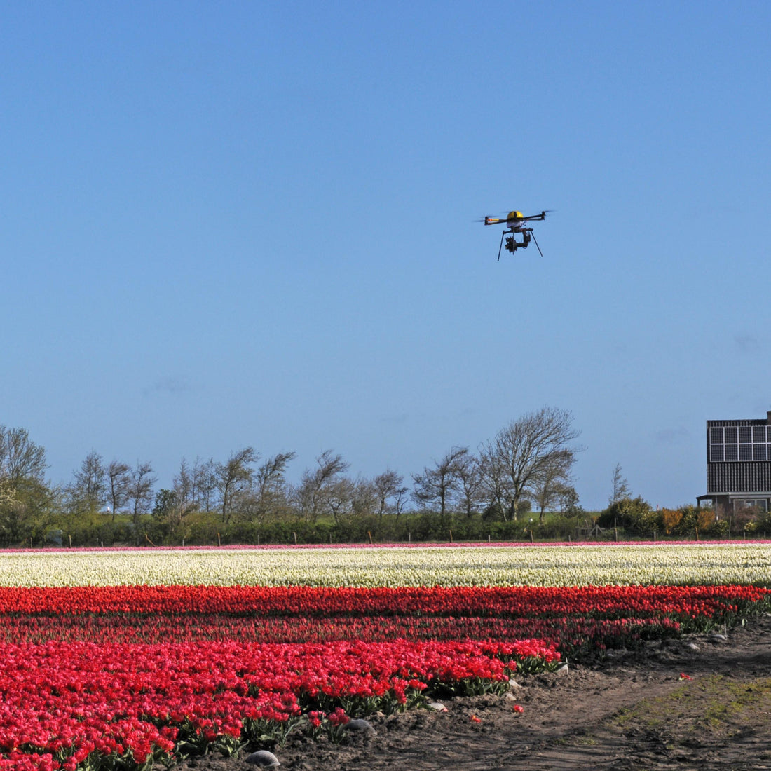 The expectations for Harvest