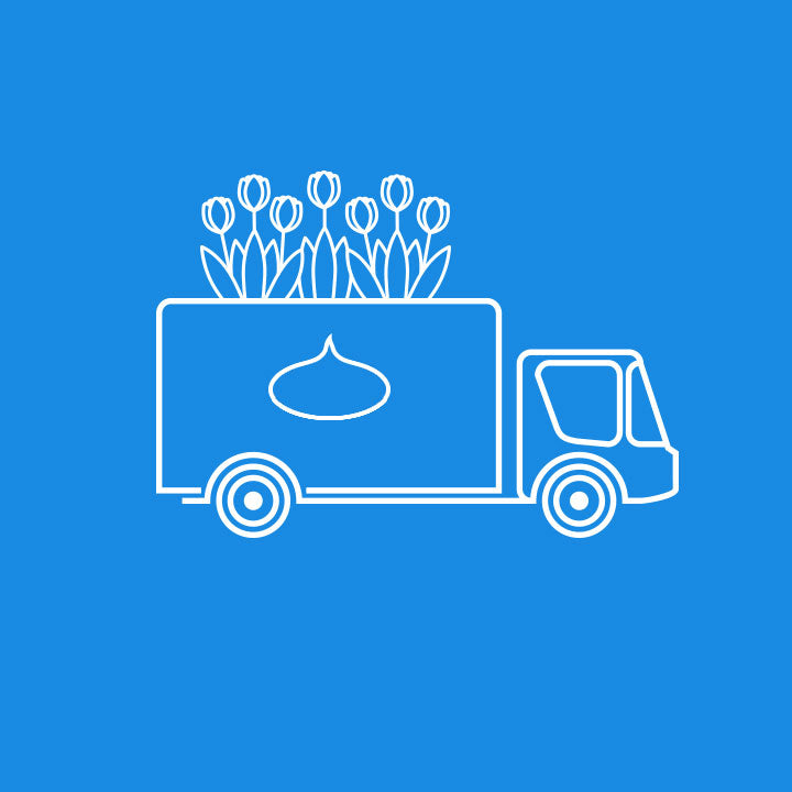 The bulbs are sent in the fall