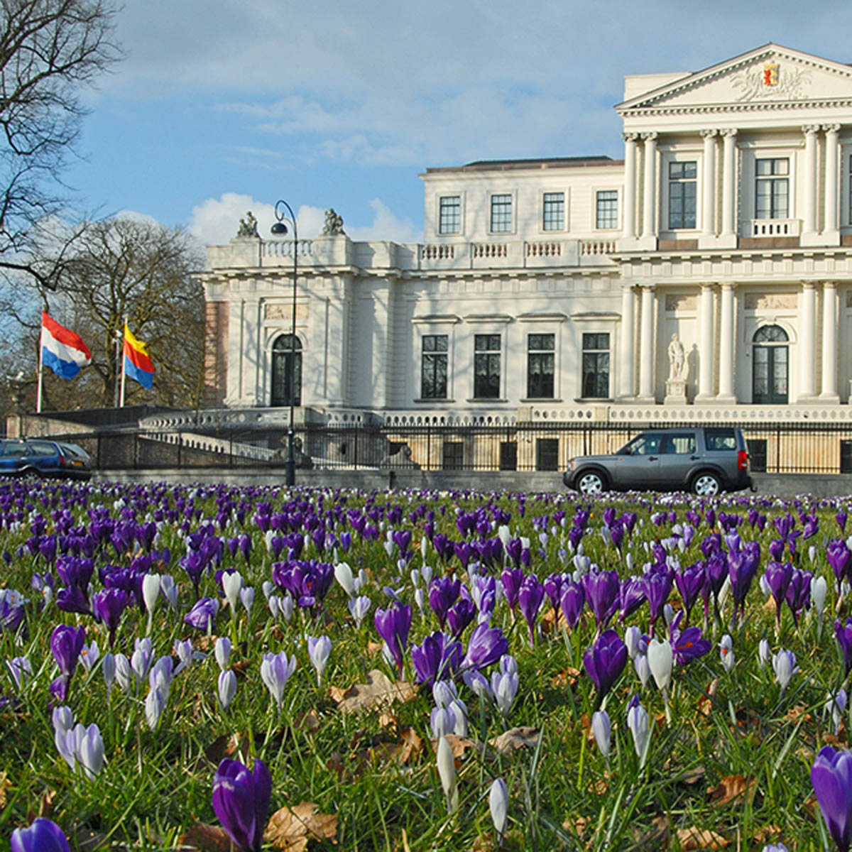 Hocus Crocus™